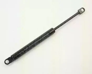 triscan-87101613