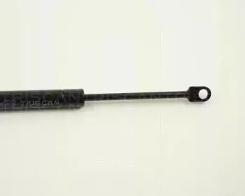 triscan-87101613