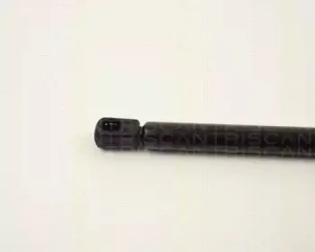 triscan-87101616
