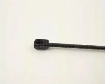 triscan-87101616