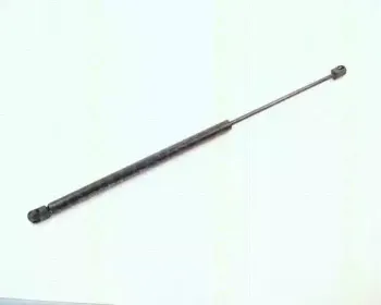 triscan-87101620