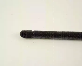 triscan-871016209