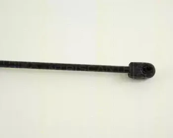 triscan-871016209