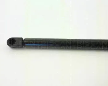 triscan-87101620