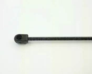 triscan-87101620