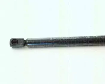 triscan-87101621