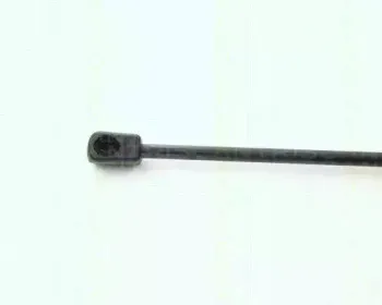 triscan-87101621