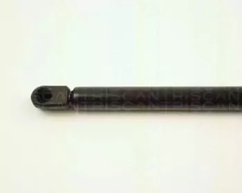 triscan-871016224