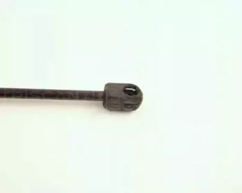 triscan-871016224