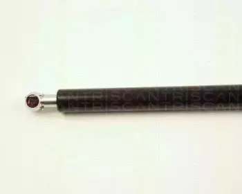 triscan-871016229