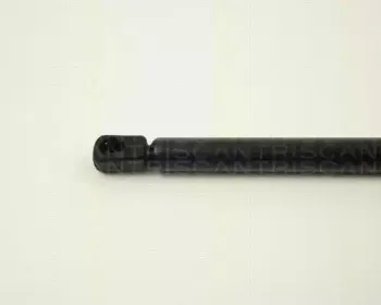 triscan-87101622