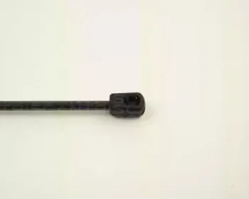 triscan-87101622