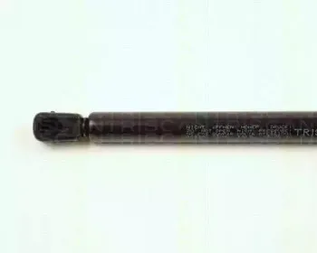 triscan-871016230