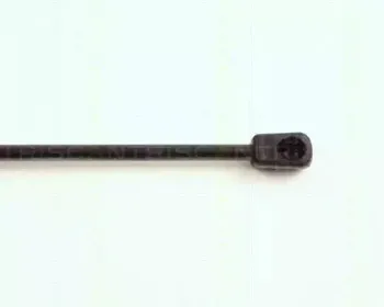 triscan-871016230