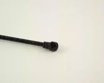 triscan-871016231