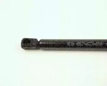 triscan-871016232