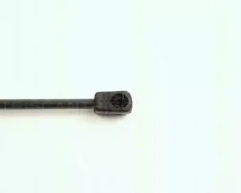 triscan-871016232