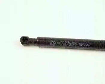 triscan-871016234