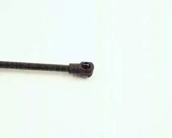 triscan-871016234