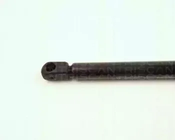 triscan-871016236