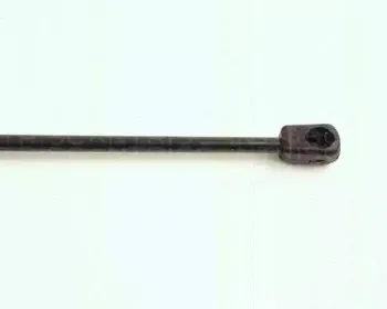 triscan-871016236