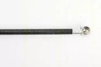 triscan-871016241
