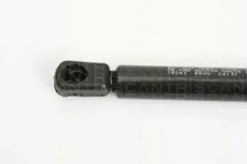triscan-871016243