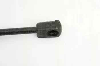 triscan-871016243