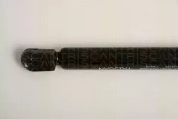 triscan-871016253