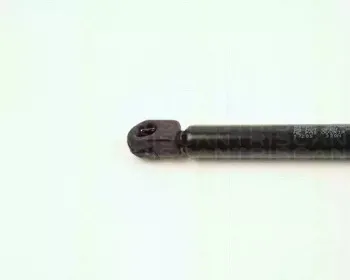 triscan-871017205