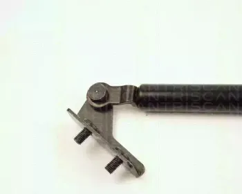 triscan-871018203