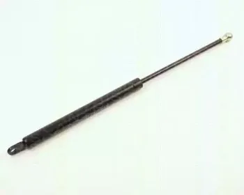 triscan-87102002