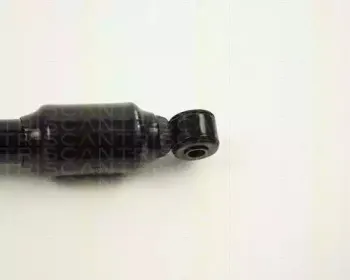 triscan-87102304