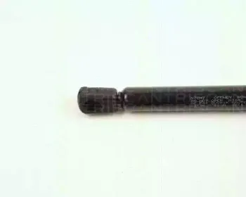triscan-871023106
