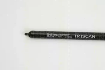 triscan-871023110