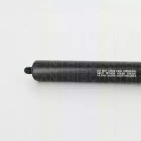 triscan-871023117