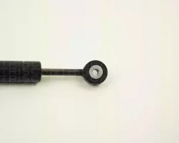 triscan-87102313