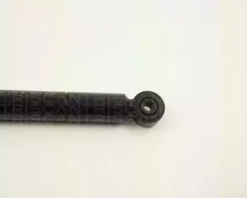 triscan-87102314