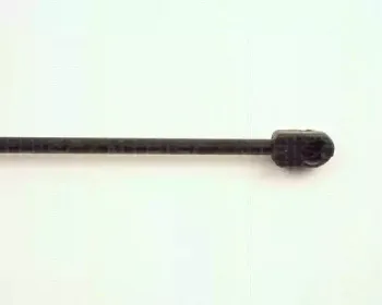 triscan-871023205