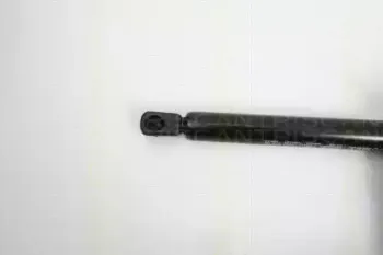triscan-871023213
