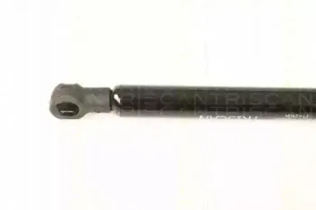 triscan-871023219
