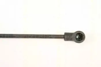 triscan-871023219