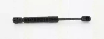 triscan-871023223