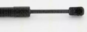 triscan-871023223