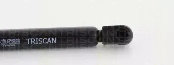 triscan-871023229