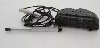 triscan-871023293
