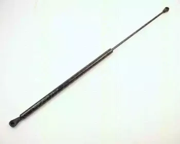 triscan-87102403