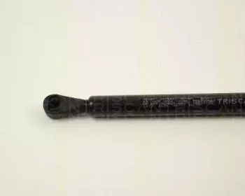 triscan-87102403