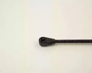 triscan-87102403