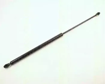 triscan-87102407